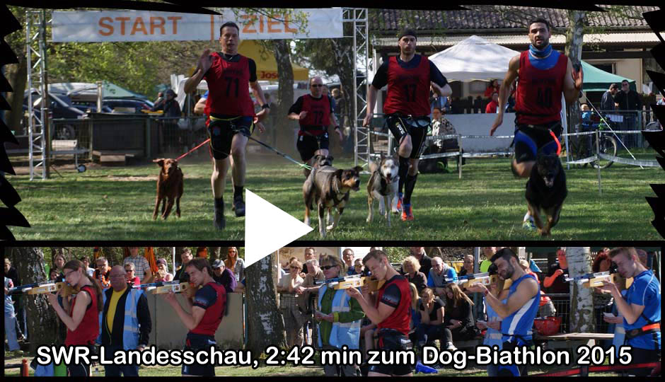 Dog-Biathlon SWR Landesschau 2015